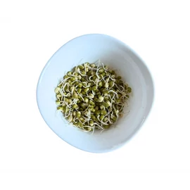 Dénes Natura Mungóbab csíráztatásra 5 kg zsák, csíráztatási útmutatóval nagy mennyiségű, friss mungóbab‑csíra előállításához.