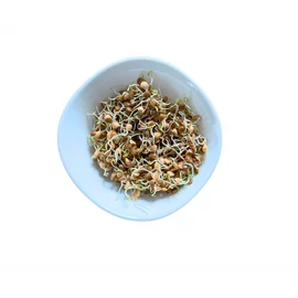 Dénes Natura Vöröslencse csíráztatásra 5 kg zsák, rajta csíráztatási útmutató, vörös lencseszemekkel illusztrálva.