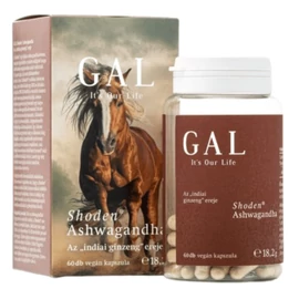 GAL Shoden® Ashwagandha – Natur Reform