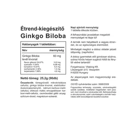 Vitaking Ginkgo Biloba 60 mg - 90 db – Natur Reform