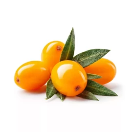 Caleido Homoktövismag-olaj gélkapszula 60 db doboz és bliszter, narancssárga lágyzselatin kapszulákkal.