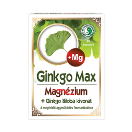 Dr. Chen Ginkgo max kapszula magnéziummal - 60 db - Natur Reform