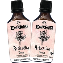 EzerJóFű articsóka (Cynara cardunculus) kivonat DUO 2×50 ml-es csomag