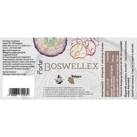Freyagena Balance Forte Boswellex Kapszula 60 db – Natur Reform