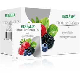 Herbária Gyümölcstea Erdei gyümölcs ízesítéssel - Natur Reform