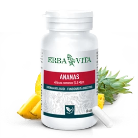 Natur Tanya® E. ANANÁSZ NÖVÉNYI KAPSZULA 60 db – Natur Reform