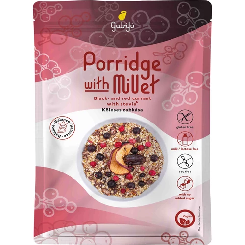 GabiJó Köleses zabkása ribizlis - Balance 55 g - Natur Reform