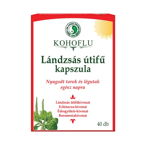 Dr. Chen Kohoflu lándzsás útifű kapszula - nappal – 40 db - Natur Reform