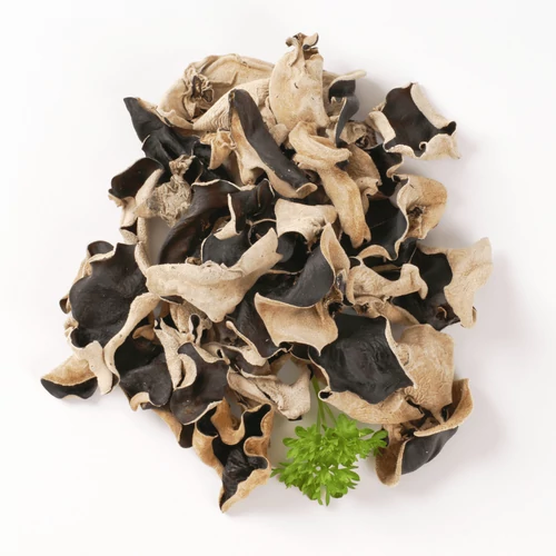 TerraVida Fafülgomba Fekete Gomba, szárított 30 g – Natur Reform