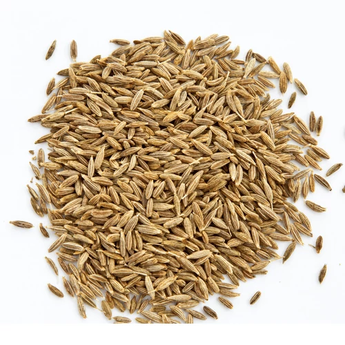 TerraVida Fűszerkömény, egész 20 g – Natur Reform