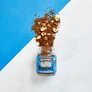 Kép 3/3 - Beanies Mogyoró ízű instant kávé DUO 2X50 g
