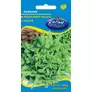 Kép 1/2 - Rédei Kertimag Tölgylevelű saláta Dubacek 1 g   - Natur Reform