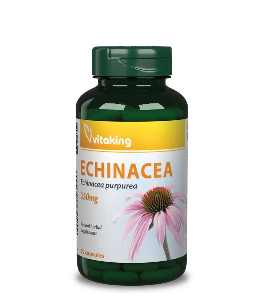 Vitaking Echinacea (Bíbor Kasvirág) Kivonat - 90 db